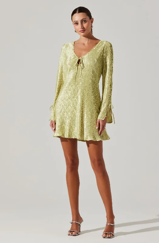 Textured Plisse Long Sleeve Mini Dress Chic Mini Dress with V-Neck